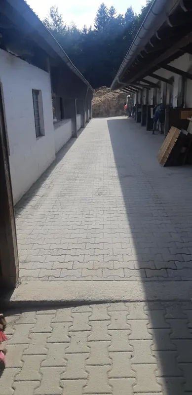 Nachher: Fertig gepflasterter Stallgang